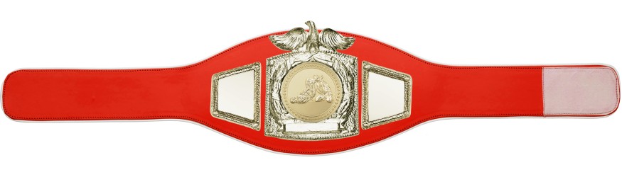 PROEAGLE JIU JITSU CHAMPIONSHIP BELT - PROEAGLE/G/JJG - AVAILABLE IN 6+ COLOURS PROEAGLE JIU JITSU CHAMPIONSHIP BELT - PROEAGLE/G/JJG - AVAILABLE IN 6+ COLOURS